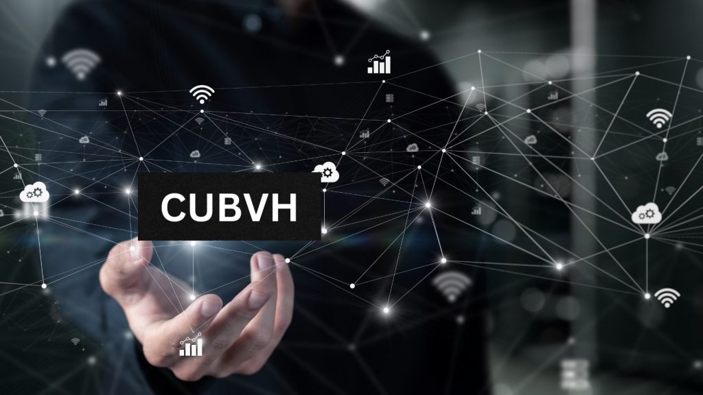 What is CUBVH? Advanced framework What is CUBVH? Advanced framework