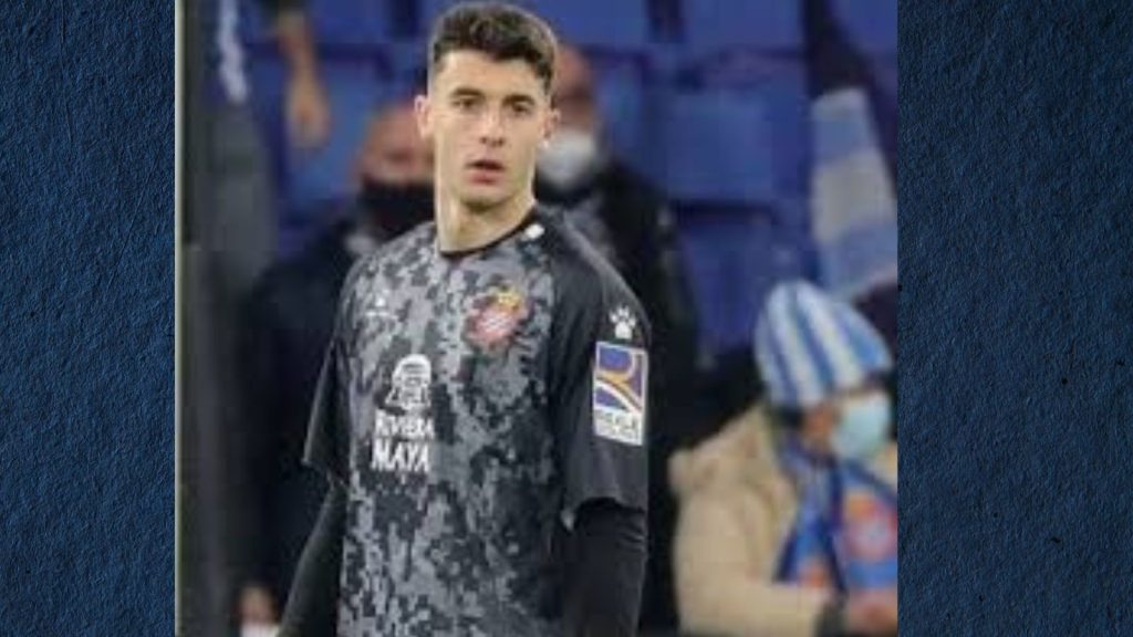 What is Deharojavier61? A Comprehensive Guide What is Deharojavier61? A Comprehensive Guide