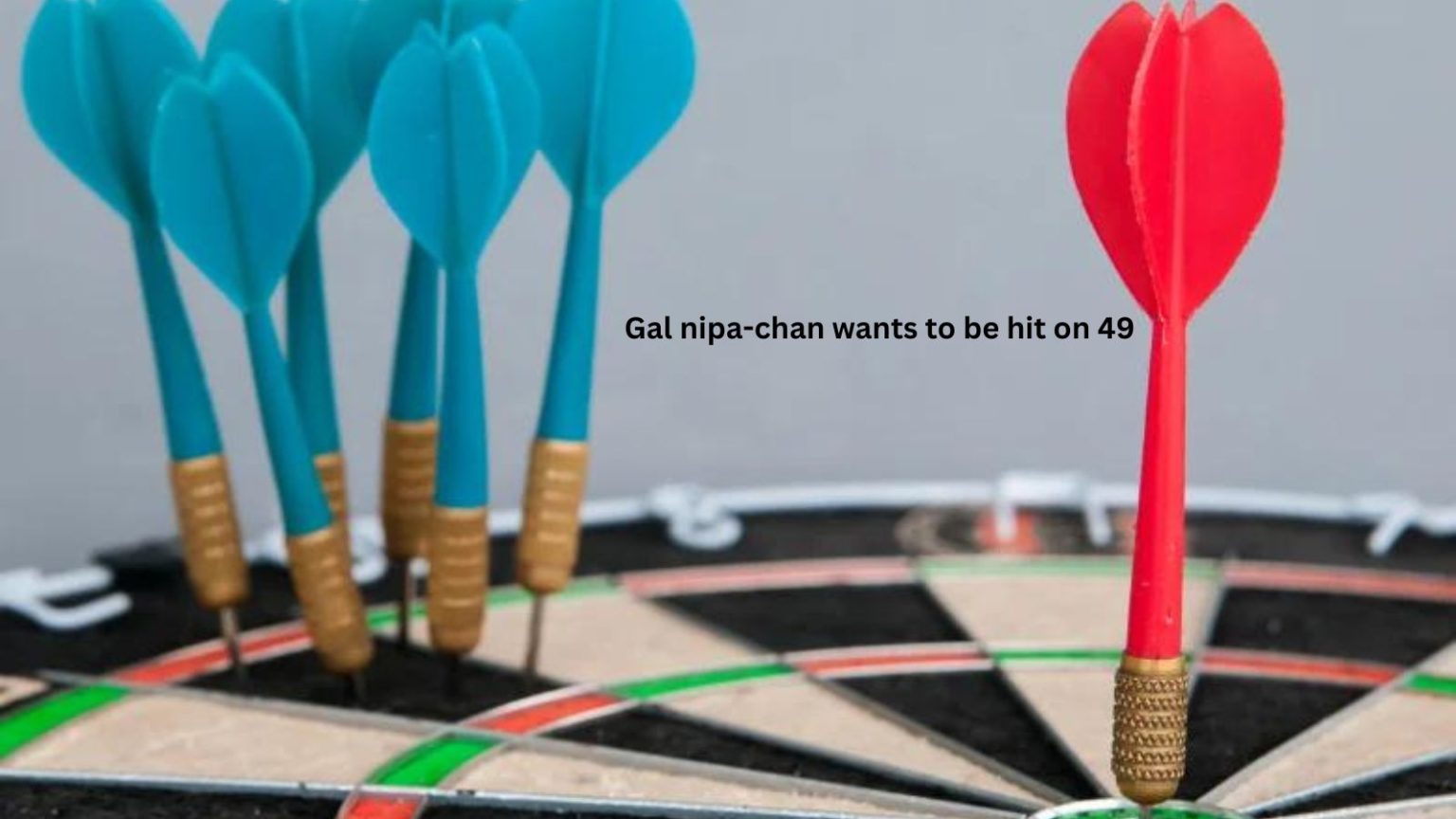 Gal nipa-chan wants to be hit on 49: All info is here