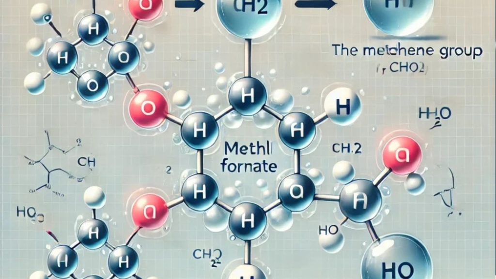 HCOOCH CH2 H2O: Understanding the Hydrolysis of Methyl Formate HCOOCH CH2 H2O: Understanding the Hydrolysis of Methyl Formate