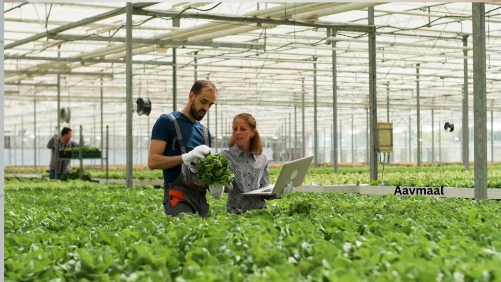 Aavmaal: The Future of Eco-Friendly Agriculture Starts Here