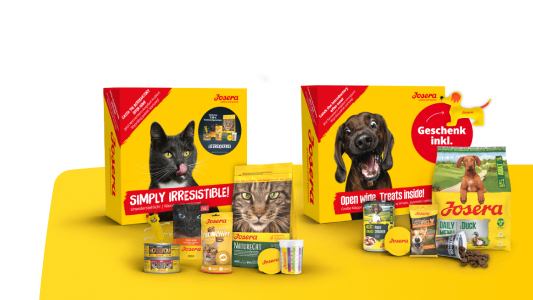 How to Change Your Pet’s Food: A Simple Guide for Dogs and Cats