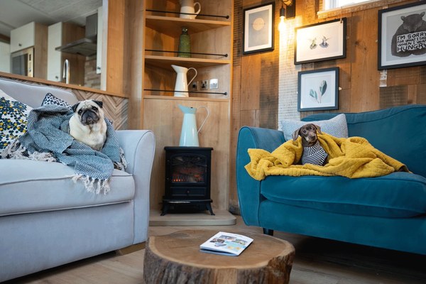 Two dogs relaxing on the sofas inside a dog-friendly lodge