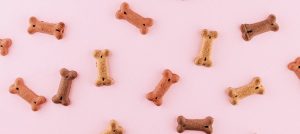 Bone shaped dog biscuits on a pink background