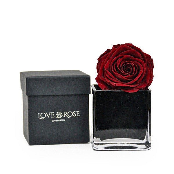 Infinity Roses at Flower Station: Heads, Short Stems, Long Stems and Luxury Cases Compared Red infinity rose head in a black vase beside its black gift box