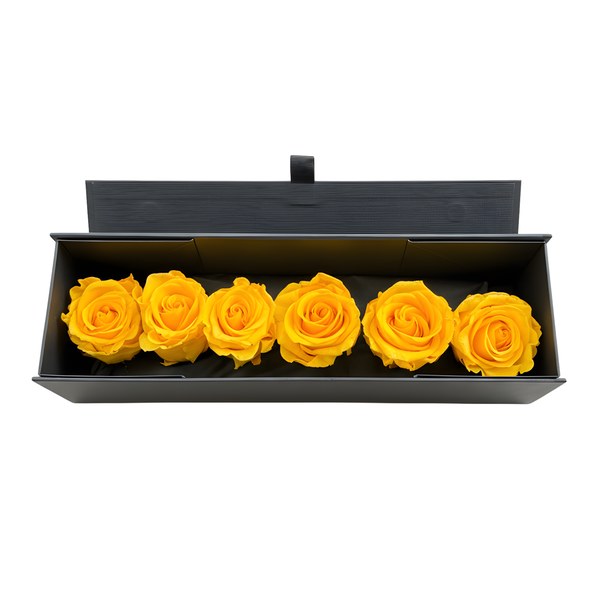Six yellow infinity roses in an open black gift box